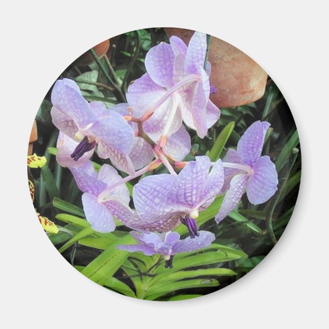 violette Blume Magnet (Vorne)
