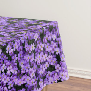 Violette Blume Tablettenfilm Violette Tischdecke