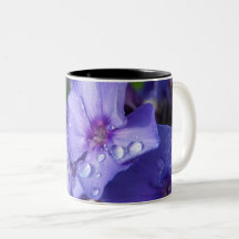 Violette Blume
