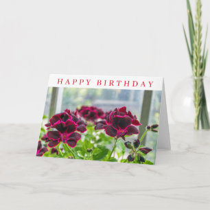 Violette Blumen bis nahe Geburtstagskarte Karte