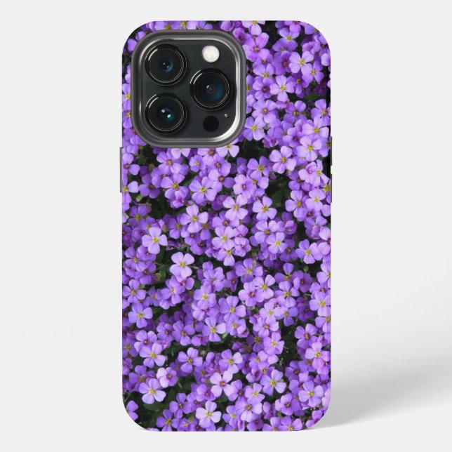 Violette Blumen iPhone-Hülle Veilchen Frühling iPhone 13 Pro Hülle (Hinten)
