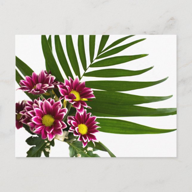 Violette Blumen Postkarte (Vorderseite)