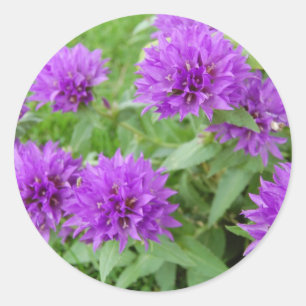 violette Blumen Runder Aufkleber