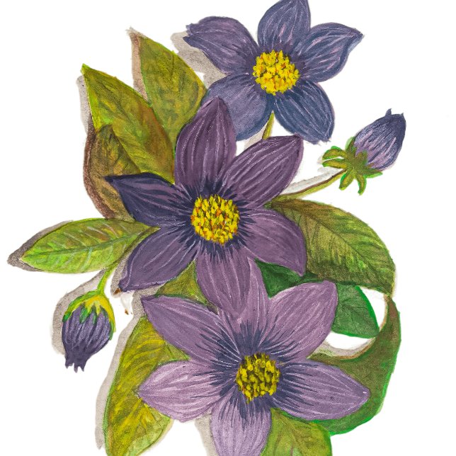 violette Blumen Zweifarbige Tasse (Von Creator hochgeladen)