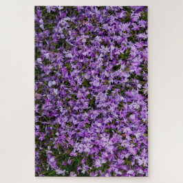 Violette Blüten im Aufbruch – 1014 Teile Lila Phlo