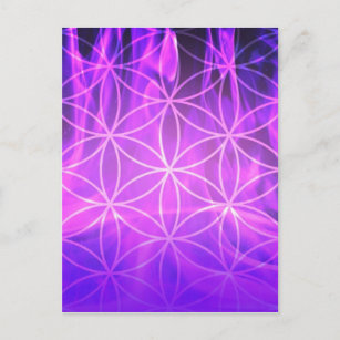 Violette Flammen-Blume des Lebens Postkarte
