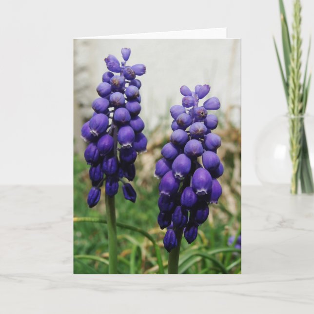 Violette Frühlingsblumen Karte (Vorderseite)