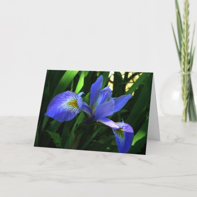Violette Iris Karte (Vorderseite)