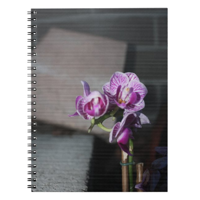 Violette Orchidee Notizblock (Vorderseite)