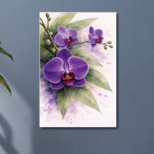 Violette Orchideen-Botanik