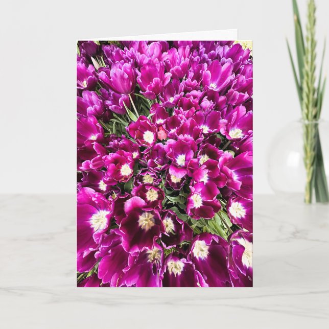 Violette Tulpen Leere Karte (Vorderseite)