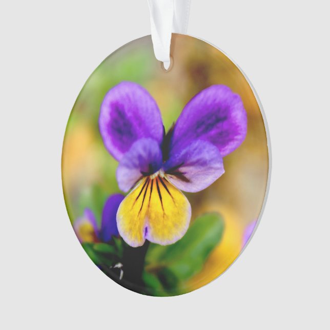 Violette Verzierung Ornament (Vorderseite)