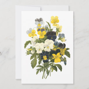 Violetten und Pansy Blume Botanische Kunst