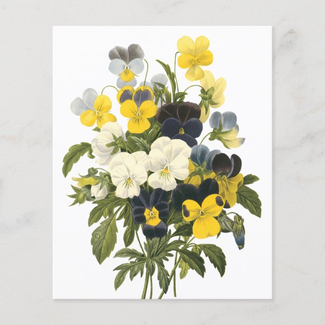 Violetten und Pansy Blume Botanische Kunst Flyer (Vorne)