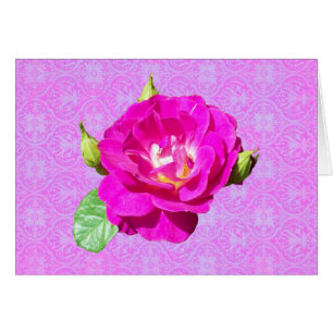 Violetter Rosen-Damast