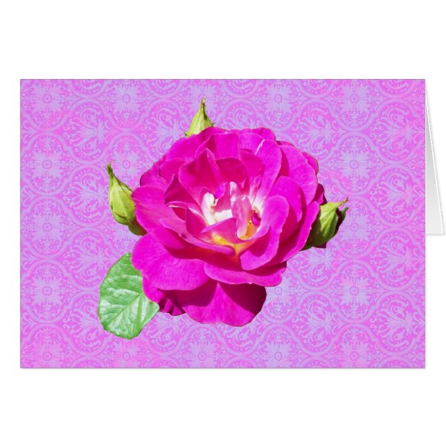 Violetter Rosen-Damast (Vorderseite (Horizontal))