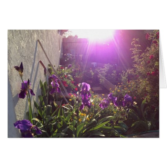 Violettes Feuer durch Harmonie Karte