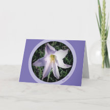 Violettrüst Lili Ermutigung Grußkarte
