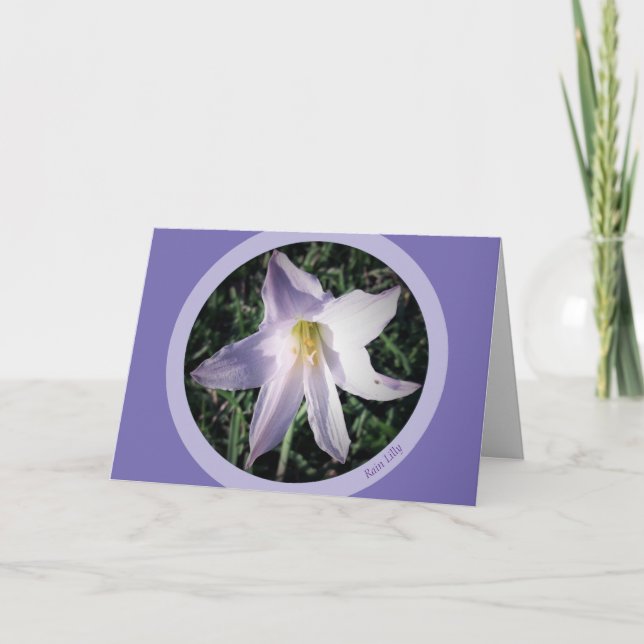 Violettrüst Lili Ermutigung Grußkarte Karte (Vorderseite)