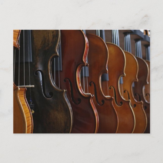 Violin Lineup Postkarte (Vorderseite)