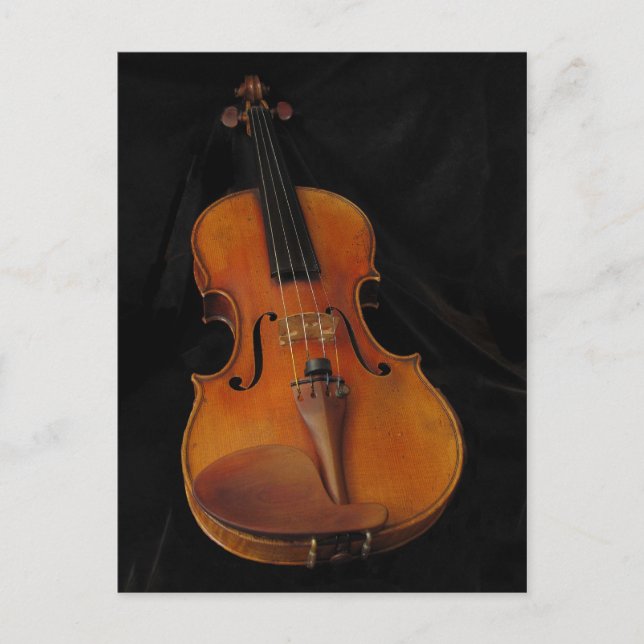 Violin Postkarte (Vorderseite)