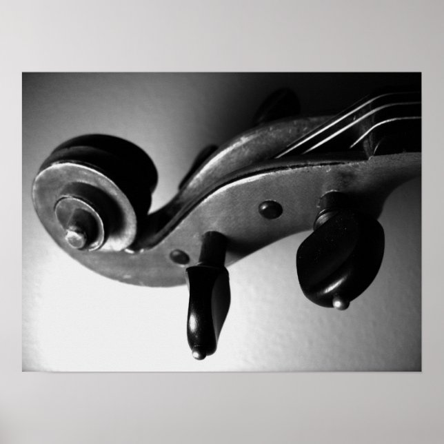 Violin Scroll Poster (Vorne)