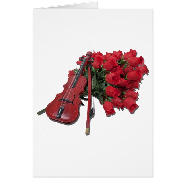 ViolinOnBouquetRoses012511 (Vorne)