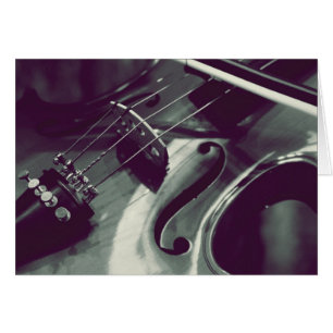 Violon Viola Cello l Photographie