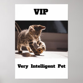 VIP Sehr intelligentes Pet Adler Katzenposter Poster