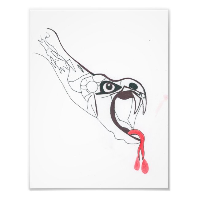 Viper Fotodruck (Vorne)