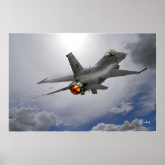 Viper in der Sonne Poster