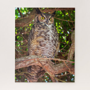 Virenuhufeule-Eulen-Puzzle Wald-Wildtier-Kunst