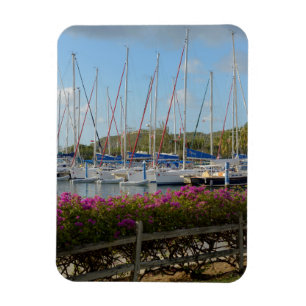 Virgin Gorda Yachthafen Magnet