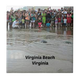 Virginia Aquarium Sea Turtle Release Fliese