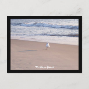 Virginia Beach Postkarte
