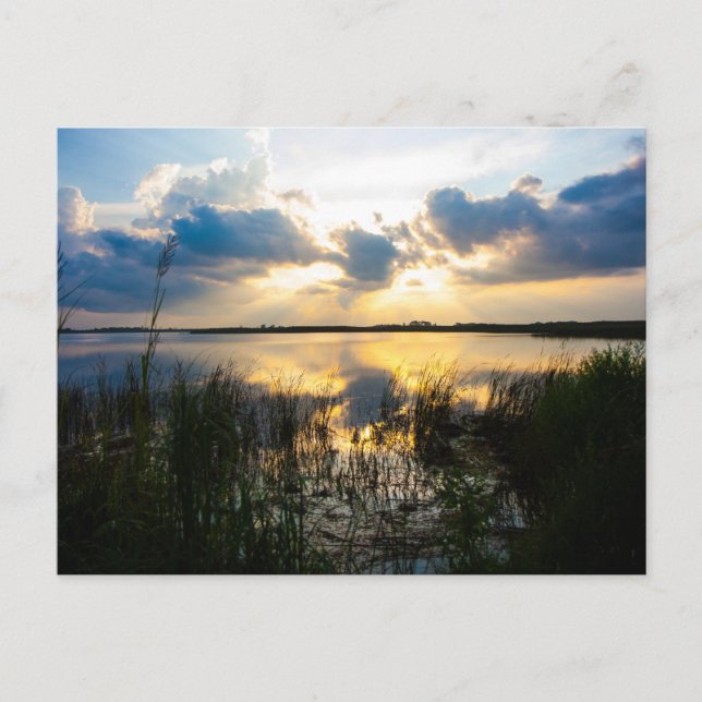 Virginia Beach Sunset Postkarte (Vorderseite)