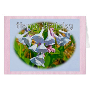 Virginia Bluebells Happy Birthday Koordinierter Ge