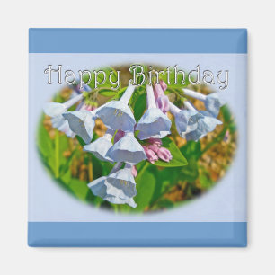 Virginia Bluebells Happy Birthday Koordinierter Ge Magnet
