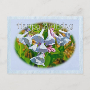 Virginia Bluebells Happy Birthday Koordinierter Ge Postkarte