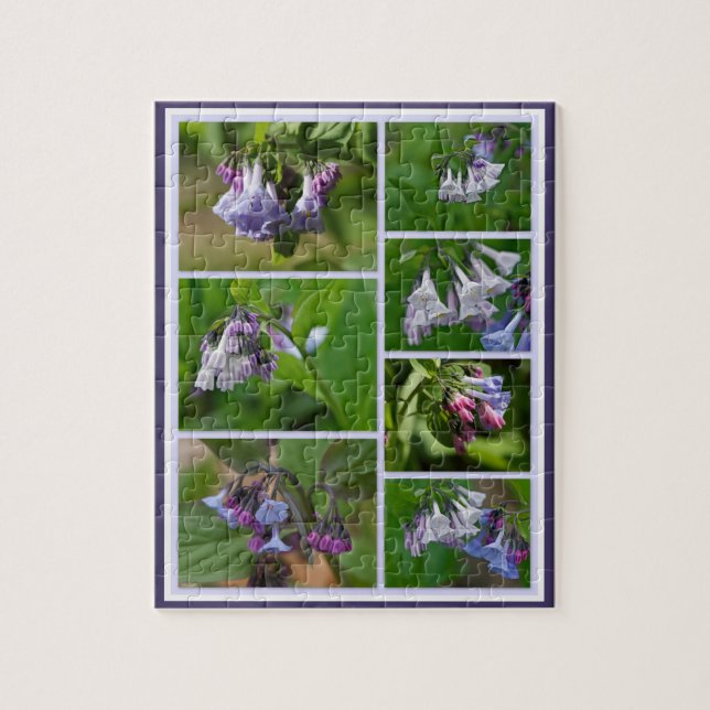 Virginia Bluebells Wildblumen (Vertikal)