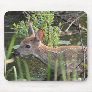 Virginia Deer Fawn Baby Animal Wildlife Foto verlo Mousepad