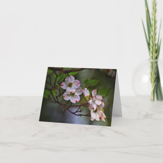 Virginia Dogwood Karte (Vorderseite)