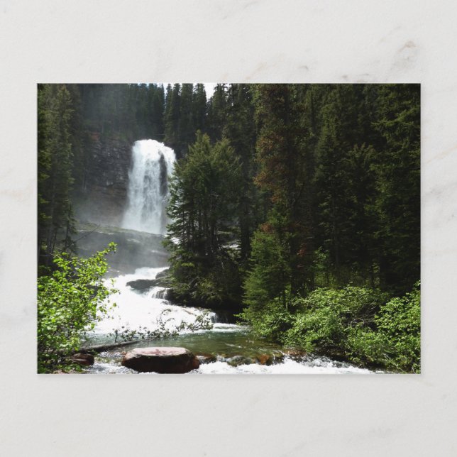 Virginia Falls at Glacier National Park Postkarte (Vorderseite)