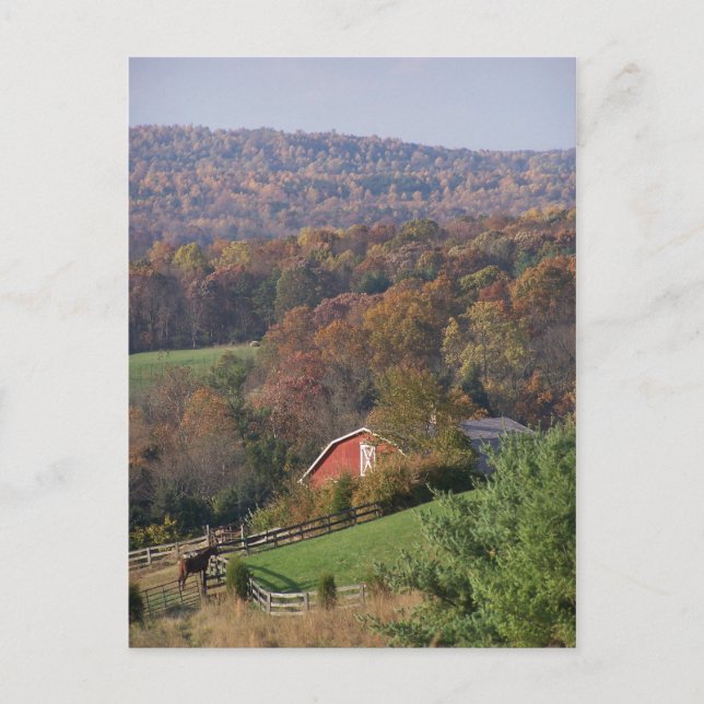Virginia im Herbst Postkarte (Vorderseite)