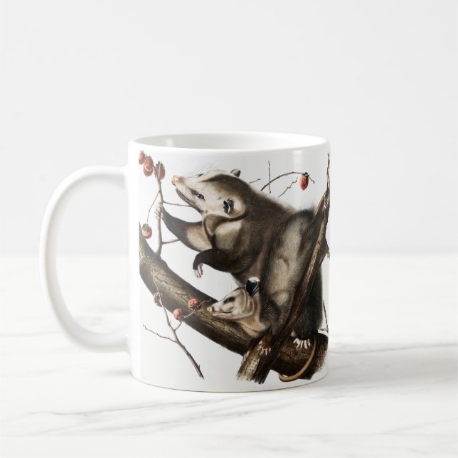 Virginia Opossum Didelphis Virginia Illustration Kaffeetasse (Links)