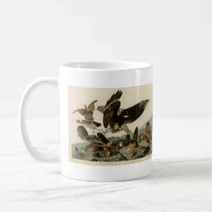 Virginia Partridge, Audubons Vögel von Amerika Kaffeetasse