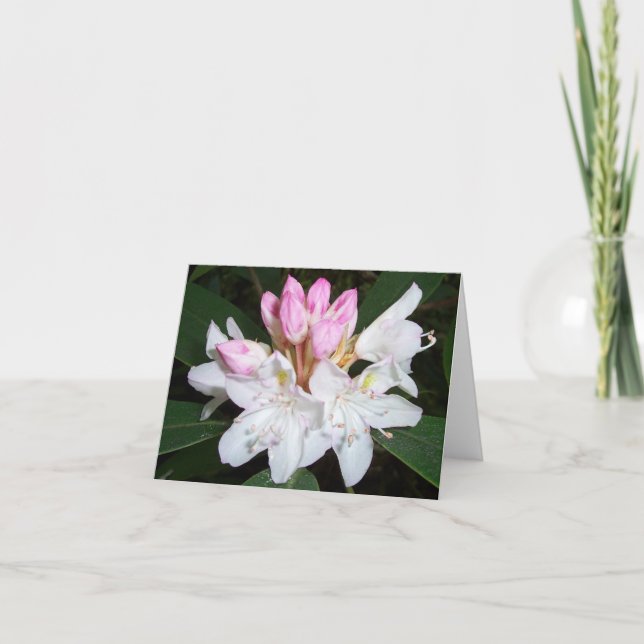 Virginia-Rhododendron Karte (Vorderseite)