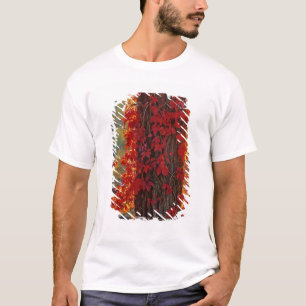 Virginia-Strampler im Herbst strahlend rot T-Shirt