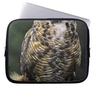 Virginia-Uhu (Bubo virginianus), ganzer Körper Laptopschutzhülle