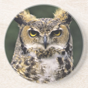 Virginia-Uhu (Bubo virginianus), Ganzkörper Getränkeuntersetzer